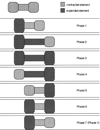 Figure 3.4: Schematic diagram of locomotion for a 2-Gripper/ 1-Extensor Mechanism. 