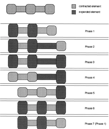 Figure 3.6: Schematic diagram of locomotion for a bgripper12-extensor mech- anism. 