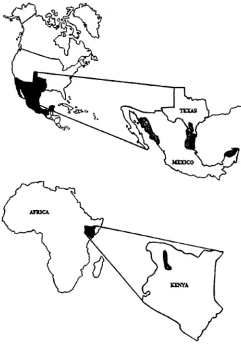 Fig. 1. Location of buffelgrass (Cenchrus ciliark) sampling sites. 