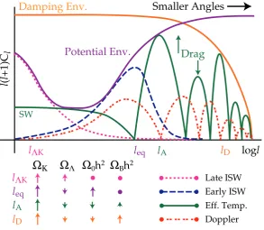 Figure 1.4: Contributions to the power spectrum from various physical processes in logarithmicmultipole scale ℓ