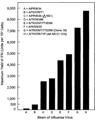 FIG. 3. Histogram showing the maximum yields of IFN producedfollowing optimal conditions of induction in aged primary CEC at