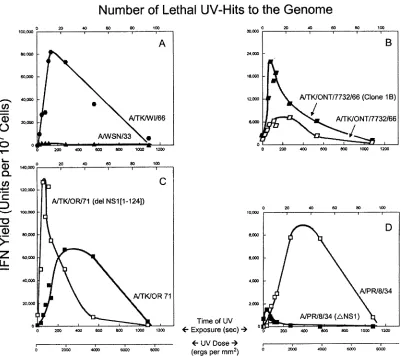 FIG. 6. IFN-inducing capacity of UV-irradiated inﬂuenza viruses. Stock preparations of virus were diluted 1:2 in attachment solution, exposedto UV (254 nm) radiation for various periods of time, and then used to induce IFN on aged primary CEC