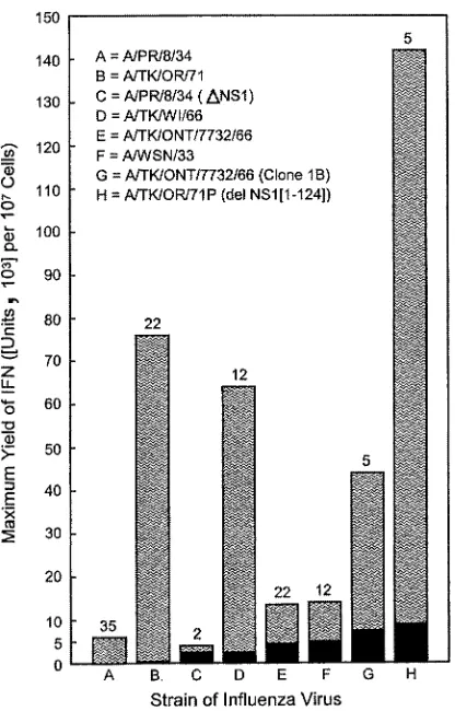FIG. 8. Comparison of the maximum yields of IFN induced byparental virus and their genetically NS1-compromised counterparts
