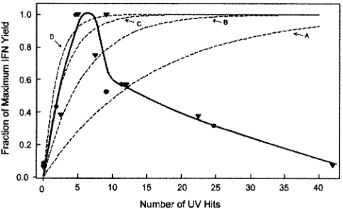 FIG. 10. Comparison of the fraction of maximum IFN yield ob-served (data points and solid line) with the expected fraction of inac-