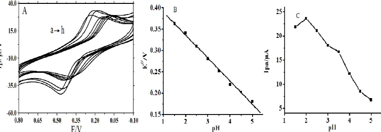 Figure 3.  (A) Cyclic voltammetric curves of 5.0×10-4 mol L-1 HQ on NG/CILE with different pH PBS (from a to h: 1.5, 2.0, 2.5, 3.0, 3.5, 4.0, 4.5, 5.0); (B) The relationship between E0' and pH; (C) The relationship between Ipa and pH