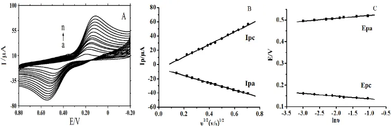Figure 4.  (A) Cyclic voltammetric curves of 5.0×10-4 mol L-1 HQ on NG/CILE in pH 2.0 PBS while changing scan rate (υ) as 20, 50, 70, 100, 120, 150, 170, 200, 250, 300, 350, 400, 450 and 500 m V-1 (from a to n); (B) Linear relationships of Ipa and Ipc vers