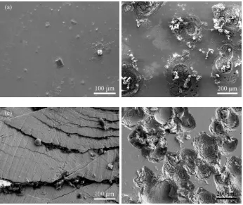 Figure 5. SEM images of the surface for the corroded specimens with different ε rolled at 1×10-1 s-1: ε=0 (a), ε=60% (b), ε=95% (d); (c) is the cross section of specimen with ε=60%