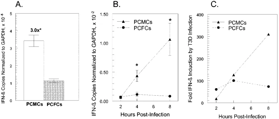FIG. 1. Basal and induced IFN-�Cultures were mock treated or infected with reovirus T3D at a multiplicity of infection of 10 PFU/cell