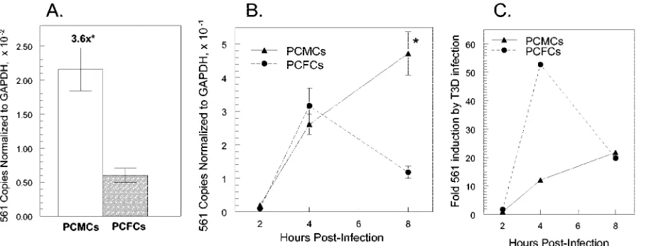 FIG. 2. IRF-7 gene expression in PCMCs and PCFCs. Reverse transcription and real-time PCR were performed on RNAs from mock- andT3D-infected PCMCs and PCFCs as for Fig