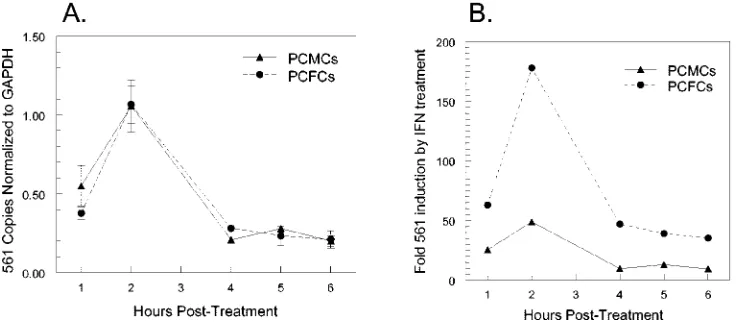 FIG. 4. (A) IFN-�and IFN-treated PCMCs and PCFCs as for Fig. 1. Asterisk indicates a signiﬁcant difference in IRF-7 expression between PCMCs and PCFCs