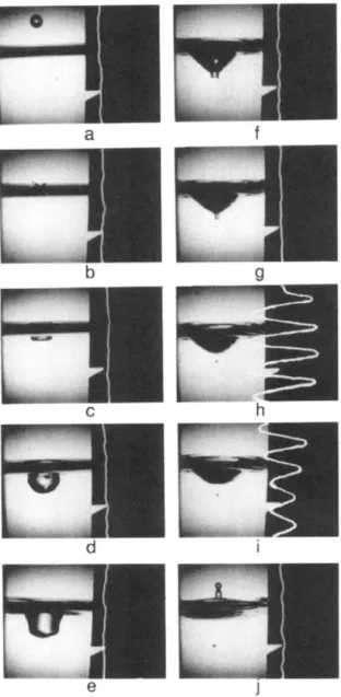 Figure  1.30 Video and acoustic traces of the primary bubble entrapment process (Pumphrey and Crum 1989) 