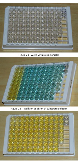 Figure 21 : Wells with saliva samples 