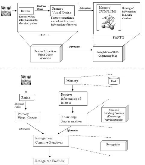 Figure 1: Mapping of system design and cognitive processes 