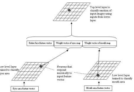 Figure 3: Structure of multilayer self organizing map 