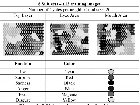 Figure 5: SOM emotion map for 8 subjects 