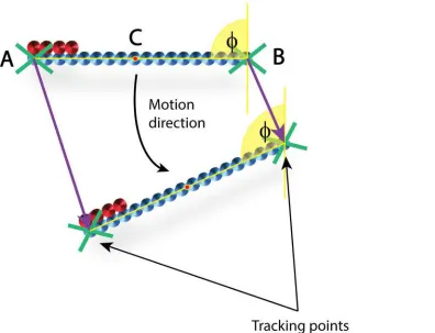 Figure 3: Schematic representation of particle tracking over two consecutive frames.  A and B indicate tracking points and C indicates thecenter of mass