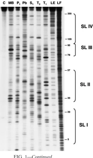 FIG. 1—Continued.