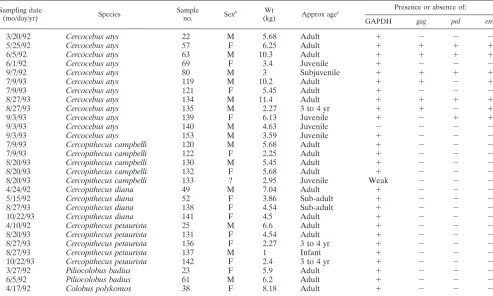 TABLE 1. Wild nonhuman primates screened for SIVs in bush meat samples by species, age, location, and SIV statusa