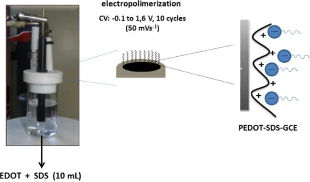 Figure 1.  Preparation the modified electrode 