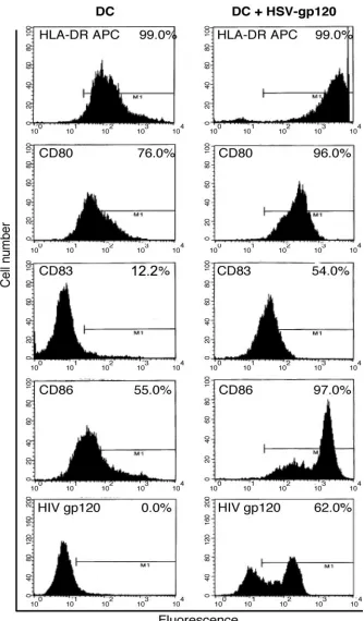 FIG. 2. Flow cytometric analysis of DC after amplicon transduction. DC transduced in vitro with HSV gp120abundant surface expression of gp120 as detected by ﬂow cytometry with gp120-speciﬁc Ab