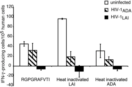 FIG. 4. Cellular immune responses in hu-PBL-NOD/SCID mice.Mice were immunized with HSV-transduced DC; 7 days later, the