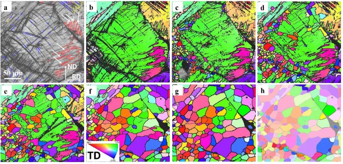 Figure 4 Quasi-in-situ EBSD IPF maps presenting recrystallised grain nucleation and growth (a) cold-rolled sample, band contrast (BC) 