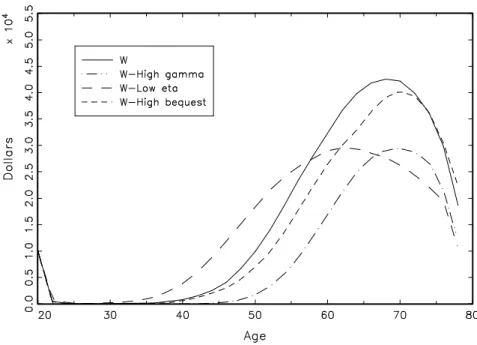 Figure 9: Simulated Wealth. Deterministic Wages