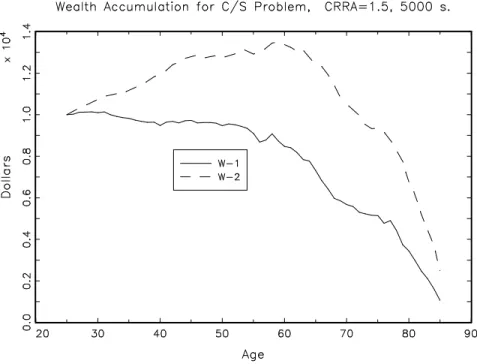 Figure 18: Simulated Wealth Accumulation. C/S Problem. CRRA Utility