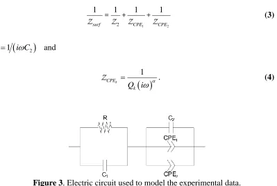 Figure 3 . Electric circuit used to model the experimental data. 
