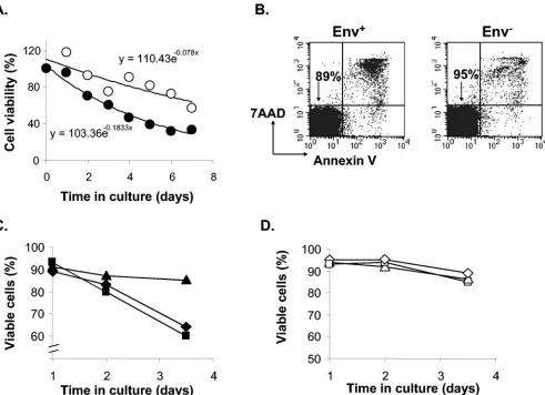 FIG. 4. Infection-induced apoptosis in resting CD4T cells. (A) Differential survival of infected (ﬁlled circles) and mock-infected (open circles)(diamonds) or in the presence of 5represent the same parameters indicated in the ﬁgure