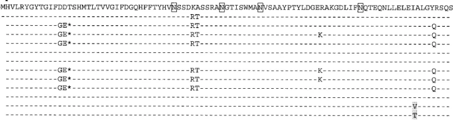 FIG. 1. Amino acid comparison of the extracellular portions of several UL18 variants. Dashes represent identity with AD169, and asterisksrepresent deletion of a residue