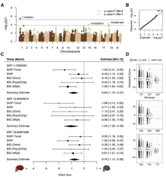 Figure 3. Endocranial Globularity in ModernHumans Is Associated with IntrogressedNeandertal Haplotypes