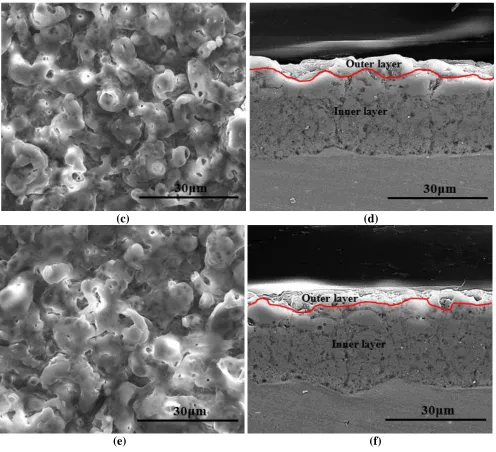 Figure 4. SEM images of surface and cross-section morphologies of C-PEO film: (a)(b)Region 1; (c)(d) Region 2; (e)(f) Region 3  