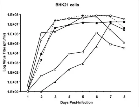 FIG. 9. Replication of viable WN 3�cells. Plaque titers were determined for pools of viruses derived bytransfection of BHK cells in Vero cells; these viruses were used toinfect conﬂuent monolayers of BHK cells at an MOI of 0.01