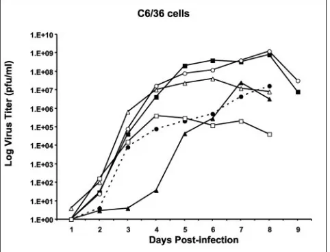 TABLE 2. Peak titers of WN 3�SL mutant viruses in BHK and C6/36 cells