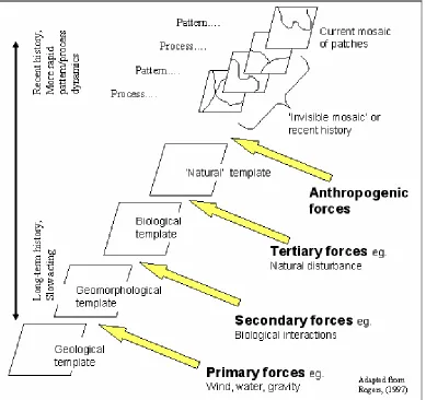 Figure 1.1 Landscape pattern is determined by different factors acting on a series of 