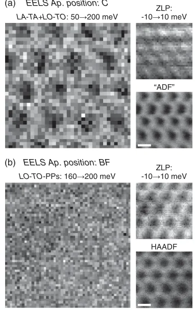 FIG. 3.(a) EELS intensity maps formed by signal integrationpositionFig.over the energy windows indicated in Fig