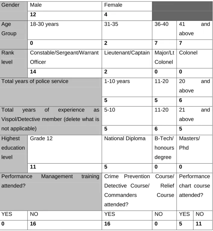 Table 4.2: The following table illustrates the biographical profile of   respondents group B
