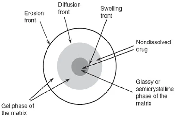 Fig. 2: Fronts in an anomalous release system 