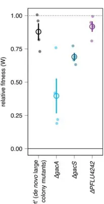 Figure S4. Knockout transconjugants have relative fitness similar to evolved lines. Transconjugant 