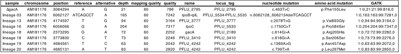 Table S1. Mutations detected in whole genome resequenced lineages. Results are shown from the 