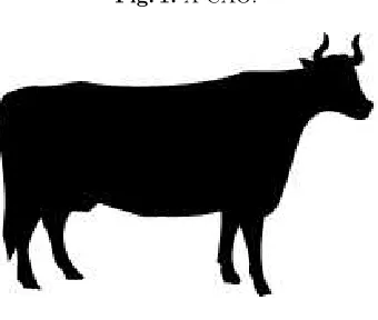 Fig. 1. A CAO.
