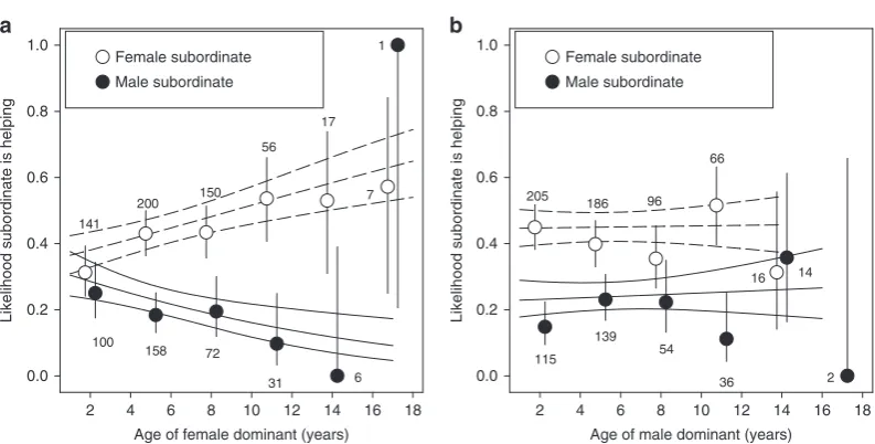 Table 3 The likelihood that a subordinate helped in relation to the dominant’s age and the subordinate’s sex