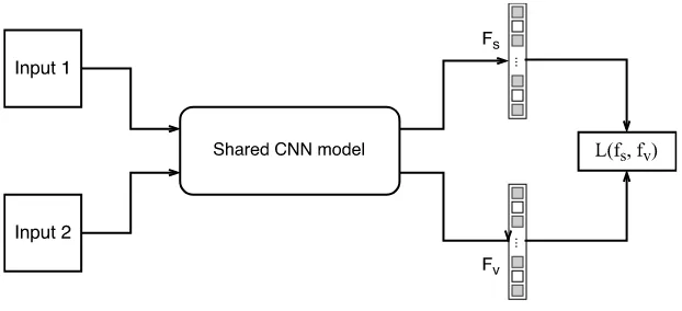 Figure 2.4: A typical Siamese network structure.