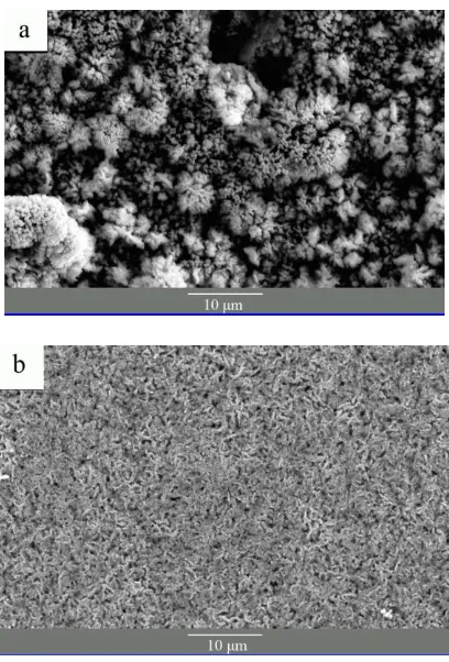 Figure 2.  FT-IR spectra of  ZnO (a) and  ZnO/PDDA (b) composite particles.  