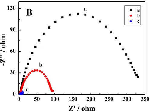 Figure 6.  EIS of the PANI electrode in electrolyte: (a) (NH4)2SO4 + ZnSO4, (b) (NH4)2SO4+ ZnSO4 + (CH3COO)2Pb, (c) NH4Cl + ZnCl2