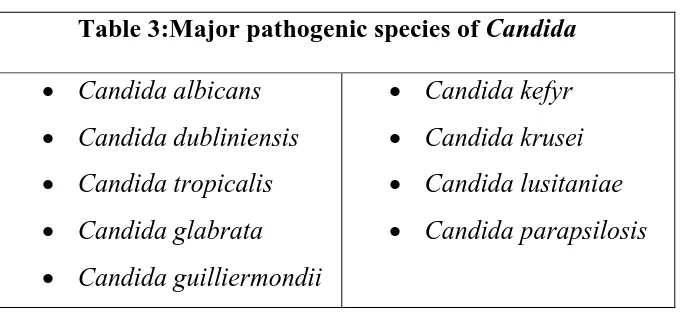 Table 3:Major pathogenic species of Candida 