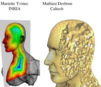 Figure 1: Variational Tetrahedral Meshing: Given the boundary of a do- do-main (here, a human torso), we automatically compute the local feature size of this boundary as well as an interior sizing field (left, cross-section),  be-fore constructing a mesh w