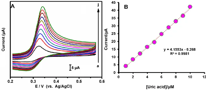 Figure 3.  (A) CVs obtained at PANI–Fe/GCE in phosphate buffer (pH 7.0) containing different concentrations of UA (1.0, 2.0, 3.0, 4.0, 5.0, 6.0, 7.0, 8.0, 9.0, and 10.0 µM)