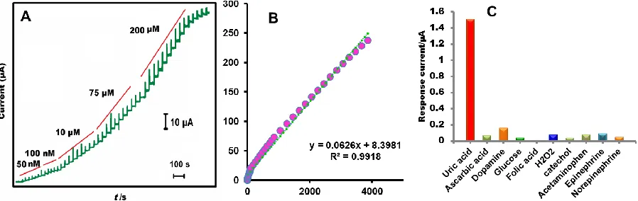 Figure 4. (  A) Amperometric response obtained at PANI–Fe composite film modified electrode towards each sequential additions of UA into phosphate buffer (pH 7)